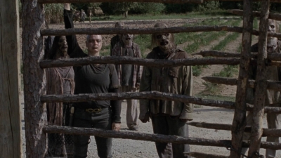 Click to view full size image
==============
twd911_0350.jpg twd911_0350.jpg