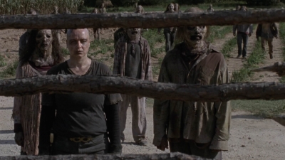 Click to view full size image
==============
twd911_0370.jpg twd911_0370.jpg