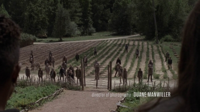 Click to view full size image
==============
twd911_0473.jpg twd911_0473.jpg