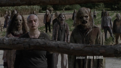 Click to view full size image
==============
twd911_0493.jpg twd911_0493.jpg