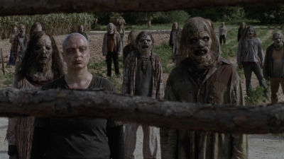 Click to view full size image
==============
twd911_0494.jpg twd911_0494.jpg