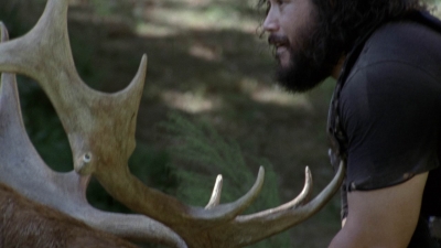 twd911_0553.jpg