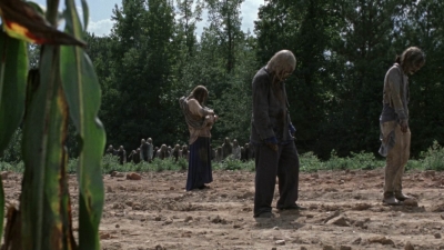 twd911_1162.jpg