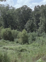 twd911_0005.jpg