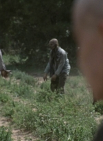 twd911_1172.jpg