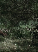 twd911_1565.jpg