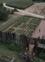 twd911_1873.jpg