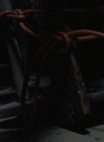 twd911_1877.jpg