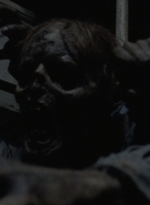 twd911_1881.jpg