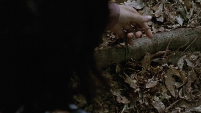 twd912_0583.jpg