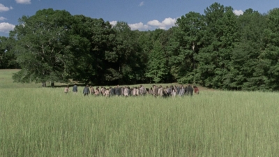 twd912_1008.jpg