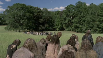 twd912_1028.jpg