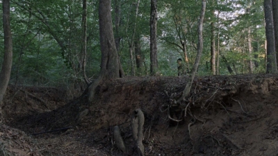 twd912_1309.jpg