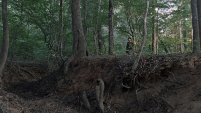 twd912_1311.jpg