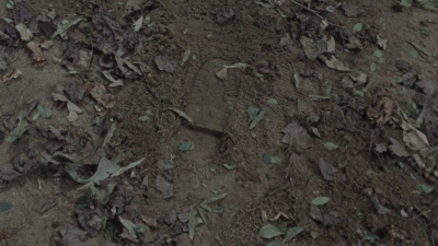 twd912_1317.jpg
