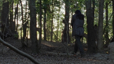 twd912_1920.jpg