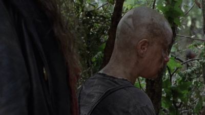 twd912_1977.jpg