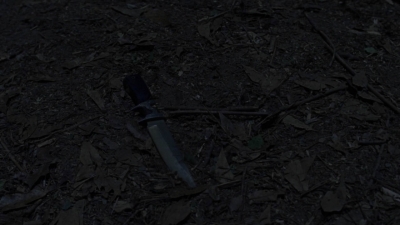 twd912_2355.jpg