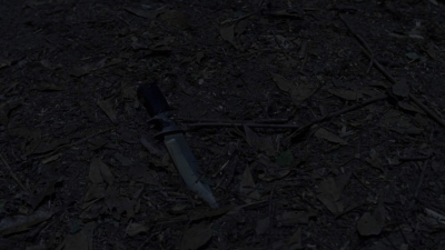 twd912_2356.jpg