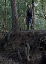 twd912_1369.jpg