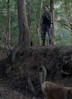 twd912_1370.jpg