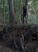 twd912_1372.jpg