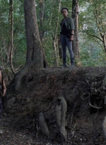 twd912_1374.jpg