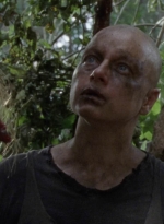 twd912_2063.jpg