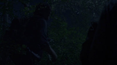 twd913_0083.jpg