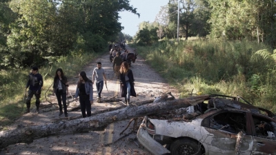 twd913_0430.jpg