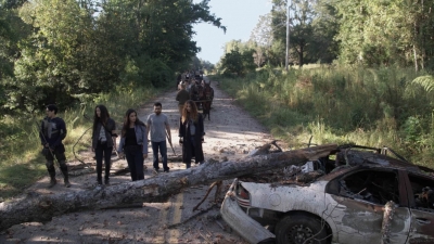 twd913_0432.jpg