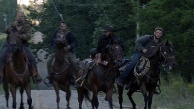 twd913_1500.jpg