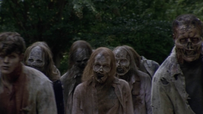 twd913_1598.jpg