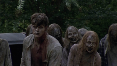 twd913_1599.jpg