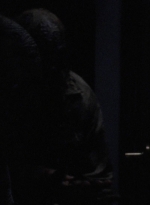 twd913_1805.jpg