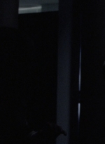 twd913_1812.jpg