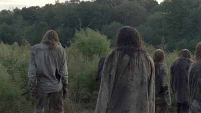 twd914_1917.jpg