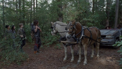 twd914_2461.jpg
