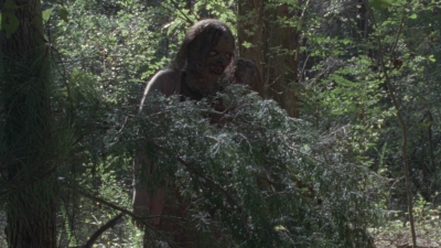 Click to view full size image
==============
twd914_2486.jpg twd914_2486.jpg