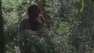 twd914_2490.jpg