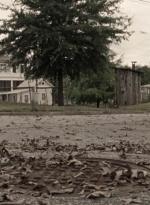 twd914_1048.jpg