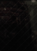 twd914_1849.jpg
