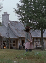twd914_2308.jpg