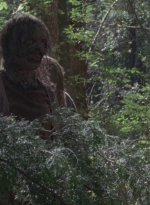 twd914_2490.jpg