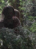 twd914_2496.jpg