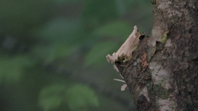 twd915_0024.jpg