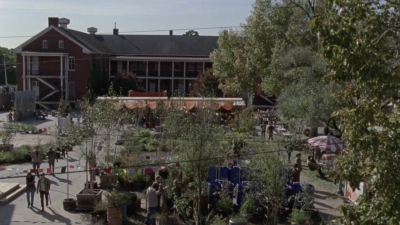 twd915_0809.jpg