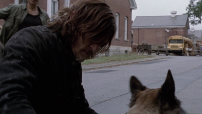 twd915_1195.jpg