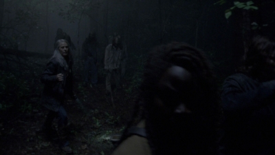 twd915_1517.jpg