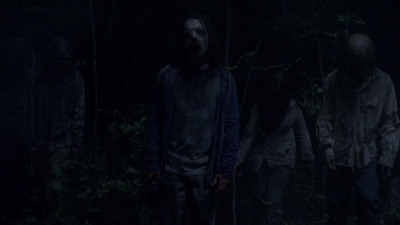 twd915_1554.jpg
